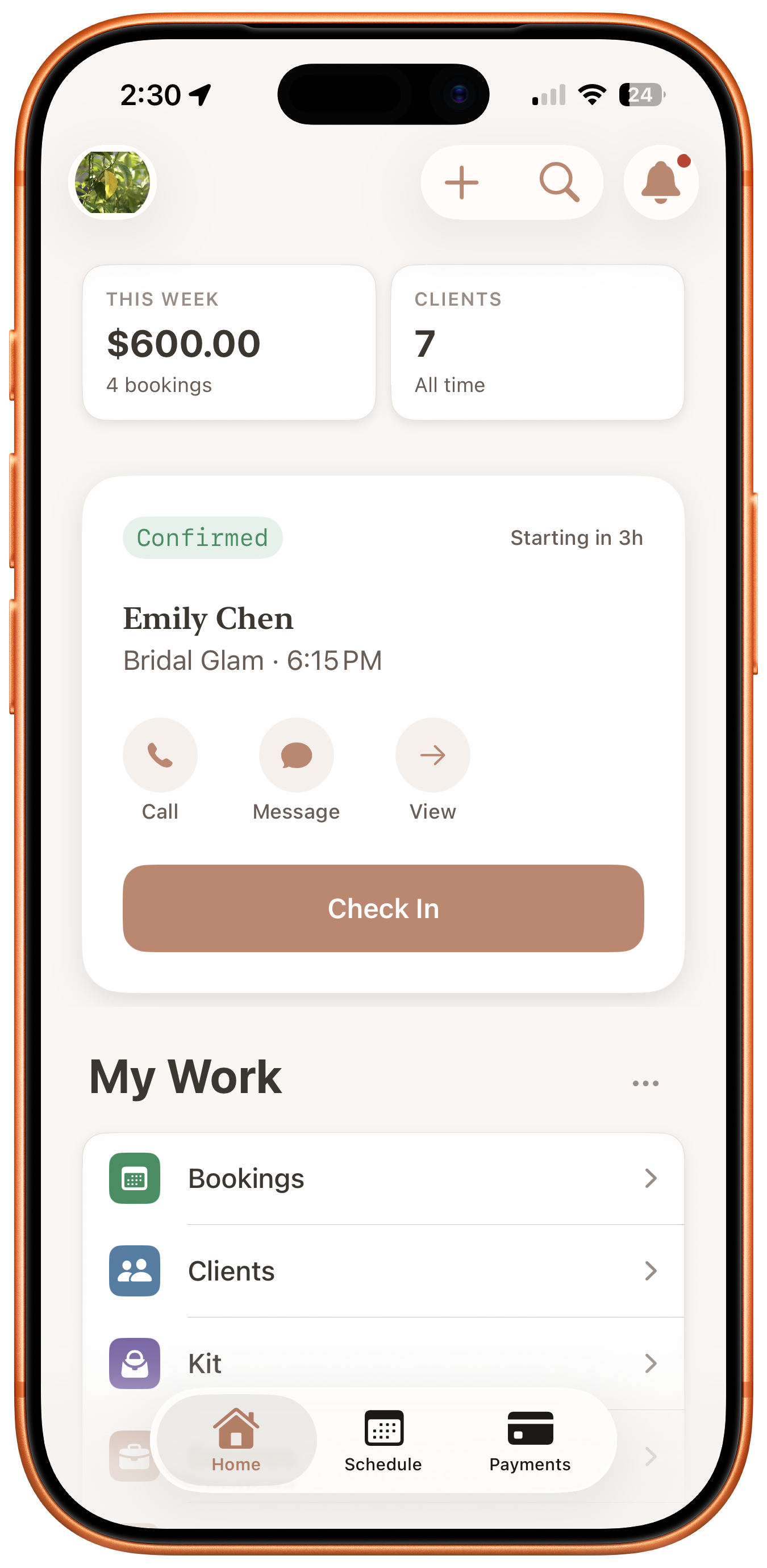 Dashboard with weekly revenue, client count, next booking quick actions, and My Work section
