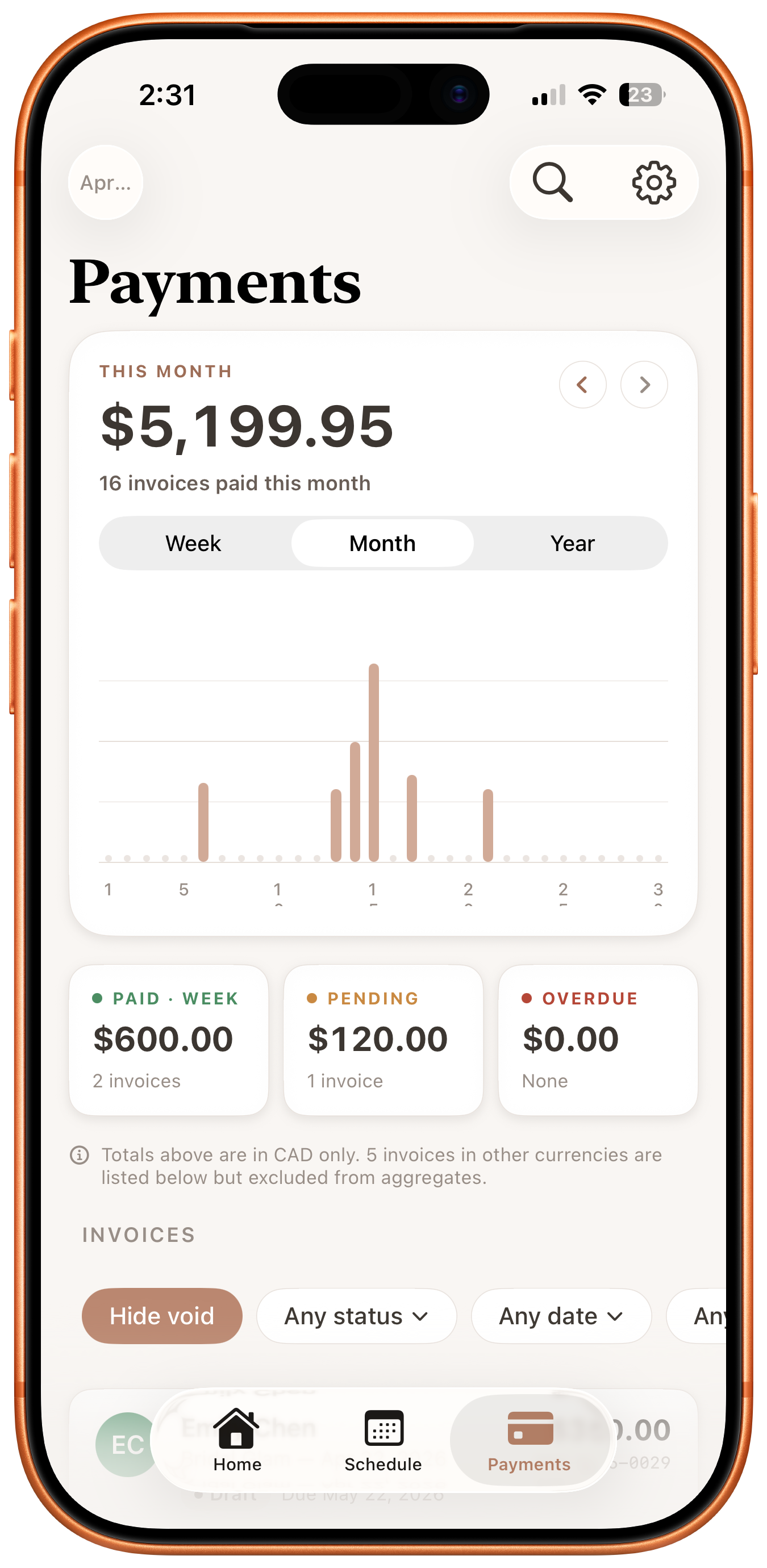 Payments tab with monthly earnings chart and invoice list