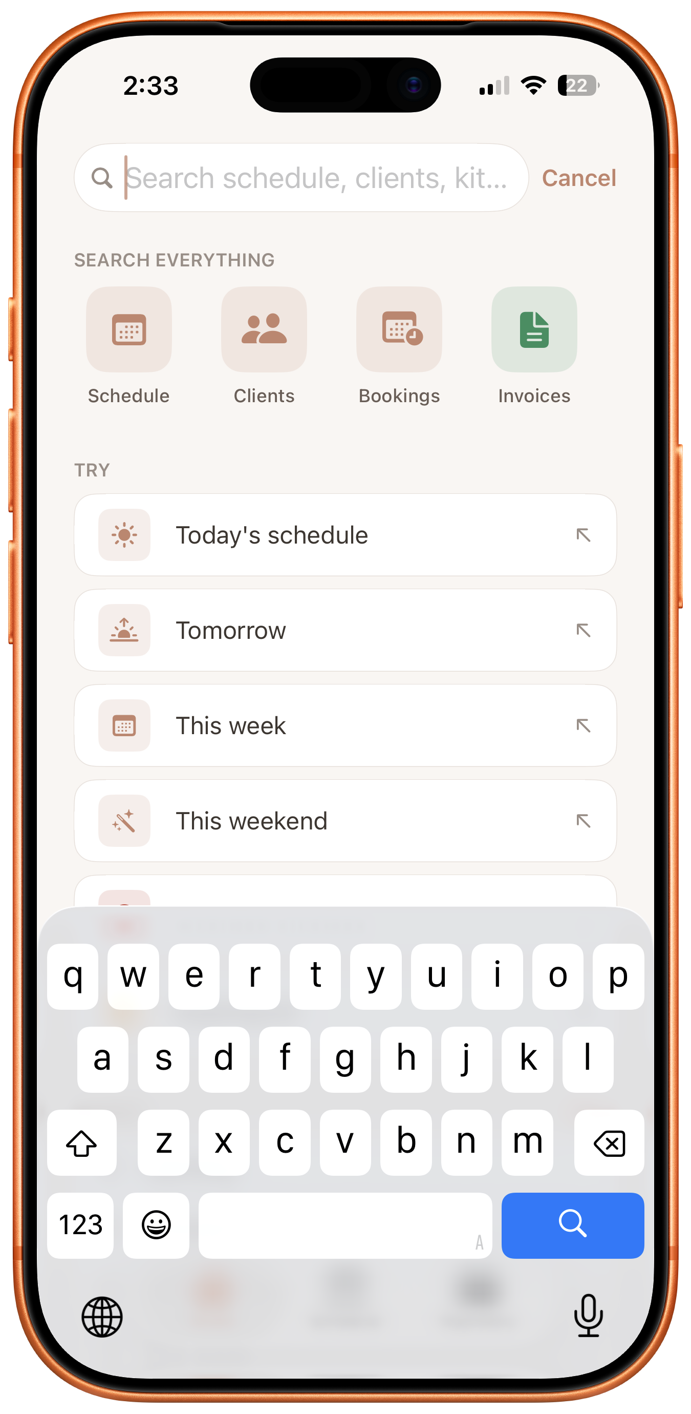 Global search screen with category tiles for schedule, clients, bookings, and invoices